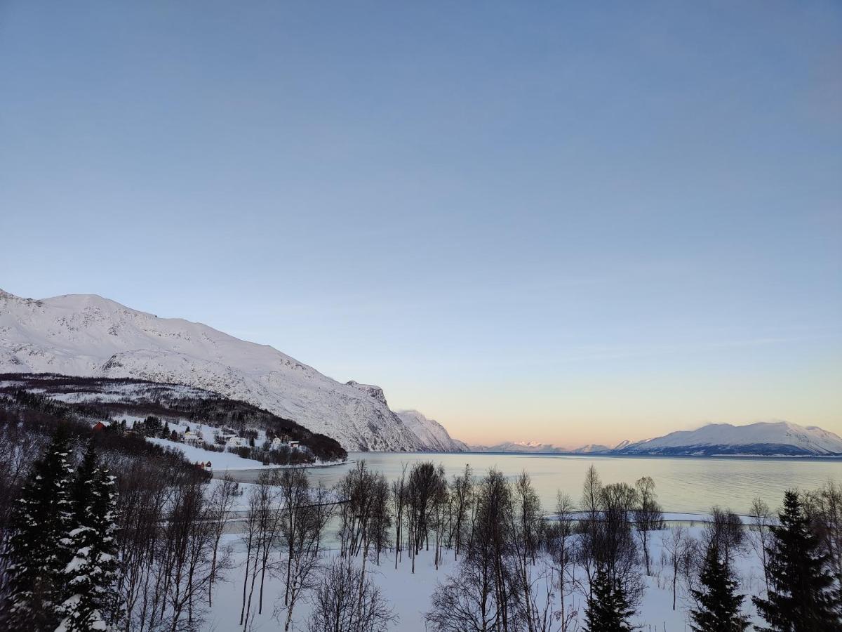 House In The Heart Of The Lyngen Alps With View Casa vacanze *