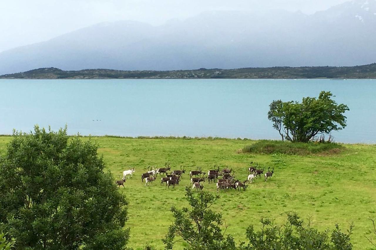 Casa vacanze House In The Heart Of The Lyngen Alps With View Lyngseidet
